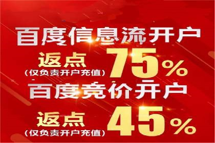 百度竞价代理的投放技巧与效果评估案例